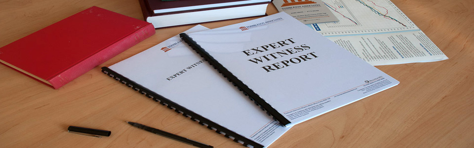 Expert Witness Isle of Wight